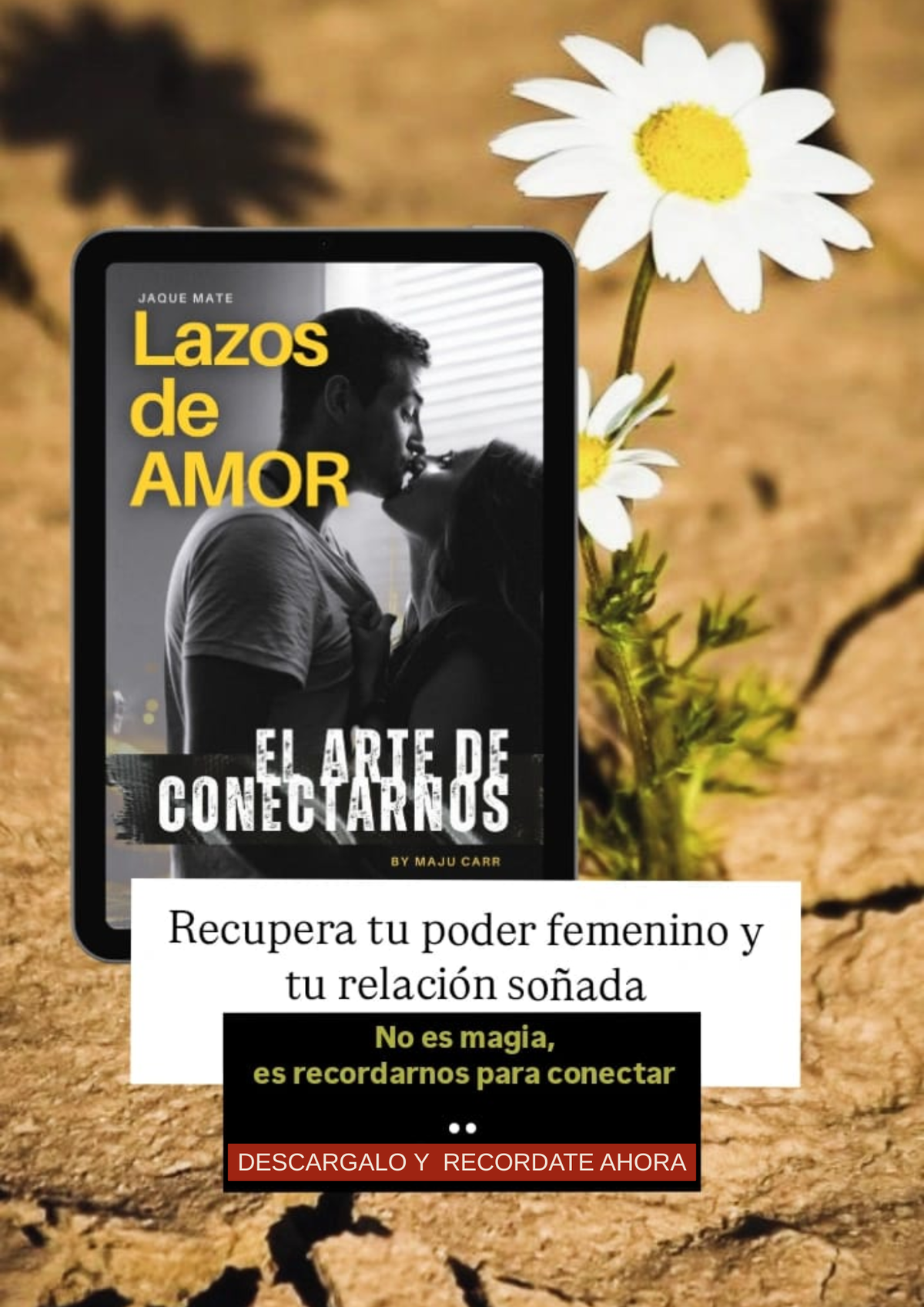 LAZOS DE AMOR, El arte de CONECTARNOS
